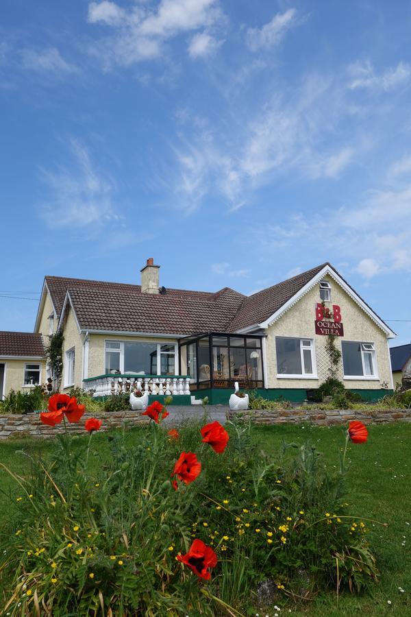 Ocean Villa Country Home Clifden Exterior photo