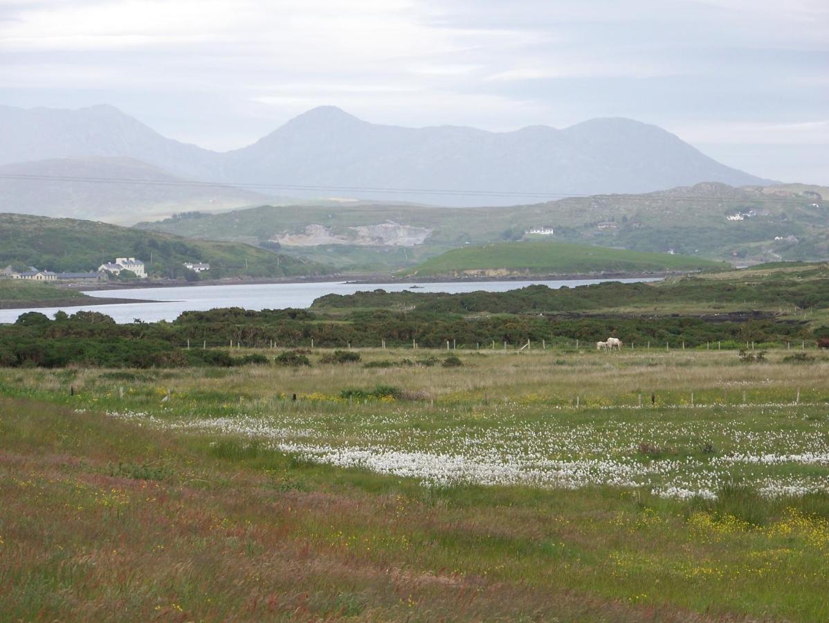 Ocean Villa Country Home Clifden Exterior photo